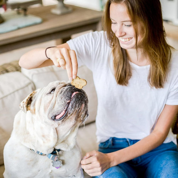 Cloud Star Wag More Bark Less Grain-Free Assorted Flavors Crunchy Dog Treats (2.5 lb)