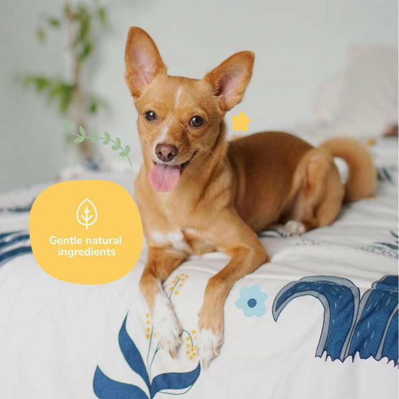 kin+kind Almond & Vanilla Natural Coat Spray for Dog Smells (12 oz)