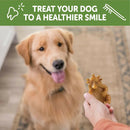 Whimzees by Wellness Hedgehog Dental Chews Natural Grain-Free Dental Treats For Large Dogs (6 ct)