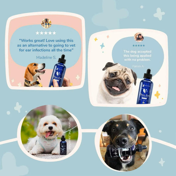 kin+kind Organic Clean Ears Leave-In Ear Cleaner For Dog  (4 oz)