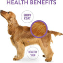 Dogswell Skin & Coat Soft & Chewy Salmon Flavored Treats For Dogs (14 oz)