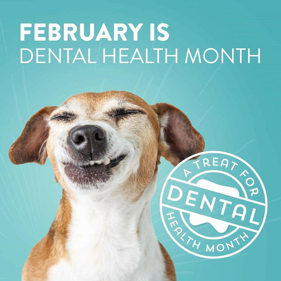 Dogswell Dental Chicken Recipe Jerky Treats For Dogs (12 oz)