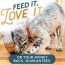 The Missing Link Pet Kelp Skin & Coat Supplement For Dogs (8 oz)