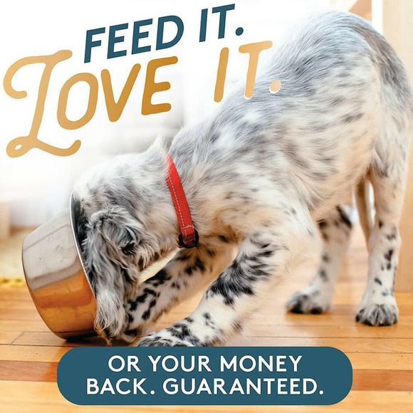 The Missing Link Pet Kelp Skin & Coat Supplement For Dogs (8 oz)