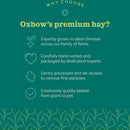 Oxbow Animal Health Botanical Hay For Pets (15 oz)