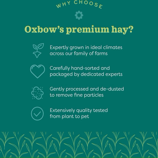 Oxbow Animal Health Botanical Hay For Pets (15 oz)