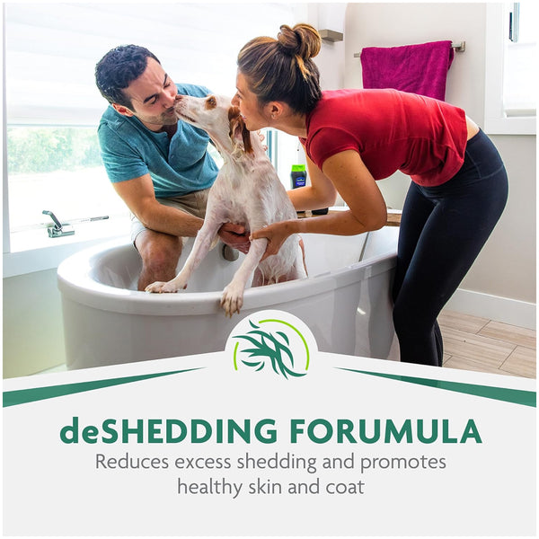 Furminator deShedding Ultra Premium Shampoo For Dogs (16oz)