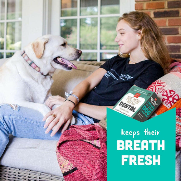 Cloud Star Wag More Bark Less Chicken, Charcoal, Parsley & Mint Dental Biscuits For Dogs(14 oz)