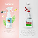 kin+kind Stain & Odor Destroyer Multi Surface Citrus For Dog 32 oz