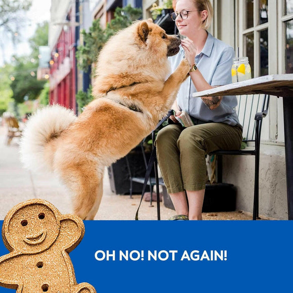 Buddy Biscuits Chewy Dog Treats Bacon & Cheese (20 oz)