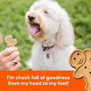 Buddy Biscuits Grain-Free Oven-Baked Crunchy Dog Treats With Peanut Butter (14 oz)