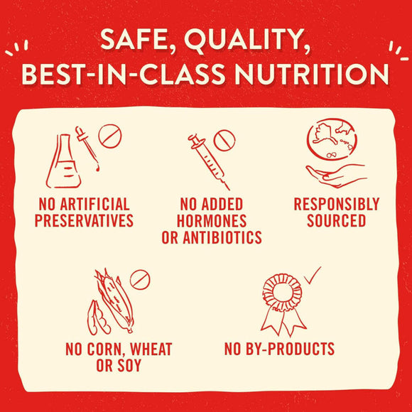 Stella & Chewy's Lil' Bites Chicken Little Recipe Small Breed Freeze-Dried Raw Food For Dog (7 oz)