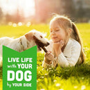 Cloud Star Wag More Bark Less Grain Free Soft Chews Dog Treats With Chicken & Sweet Potato (5 oz)