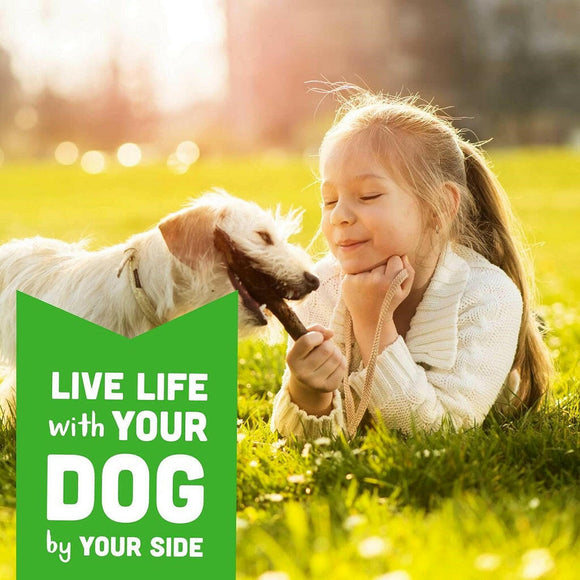 Cloud Star Wag More Bark Less Grain Free Soft Chews Dog Treats With Chicken & Sweet Potato (5 oz)