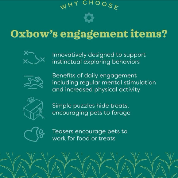 Oxbow Enriched Life Flower Cone Treat Hanger Toy For Small Animal