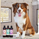 kin+kind Itchy Organics Calming Rose Natural Shampoo For Dog (12 oz)