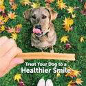 Whimzees by Wellness Fall Value Bag Small Dental Dog Chews (6.3 oz)
