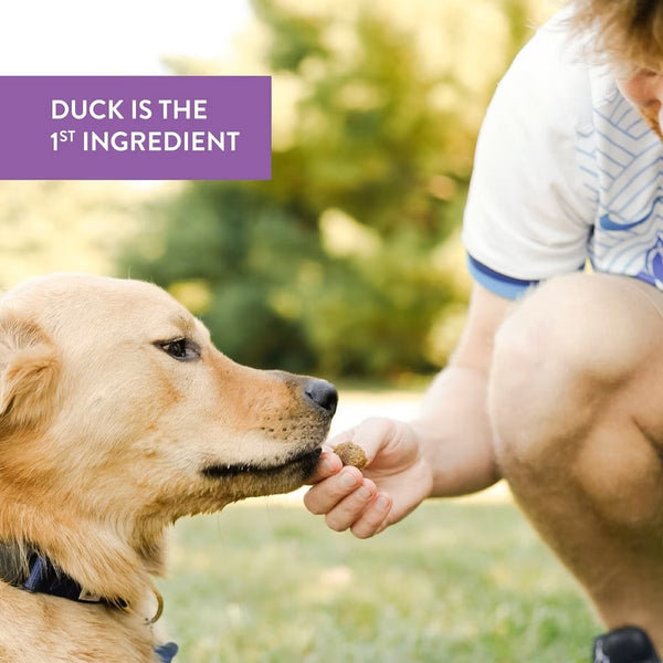 Dogswell Skin & Coat Duck Recipe Meatballs Treats For Dogs (14 oz)