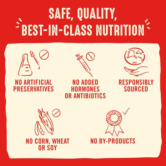 Stella & Chewy's Stella's Super Beef Dinner Patties Freeze-Dried Raw Food For Dogs (5.5 oz)