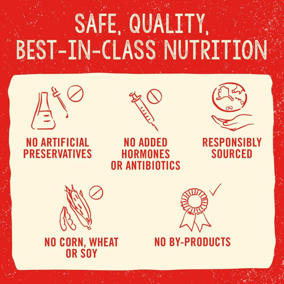 Stella & Chewy's Chewy's Chicken Meal Mixers Freeze-Dried Raw Food Topper For Dogs (3.5 oz)