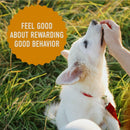 Cloud Star Tricky Trainers Chewy Dog Treats Cheddar (14 oz)