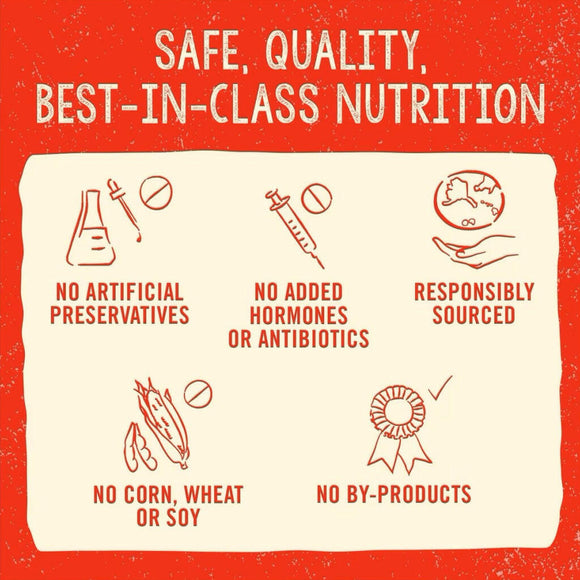 Stella & Chewy's Dandy Lamb Meal Mixers Freeze-Dried Raw Topper For Dogs (35 oz)