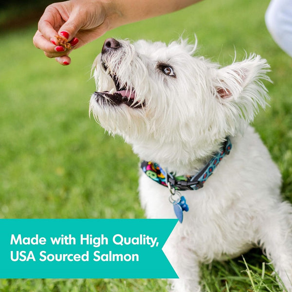 Dogswell Jerky Mini Skin & Coat Grain-Free Salmon Bites For Dogs (4 oz)