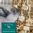 Oxbow Enriched Life Flower Cone Treat Hanger Toy For Small Animal