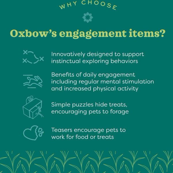 Oxbow Enriched Life Garden Forage Puzzle Toy For Small Animal