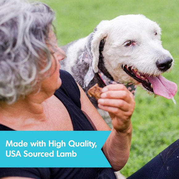 Dogswell Jerky Skin & Coat Lamb Grain-Free Treats For Dogs (10 oz)