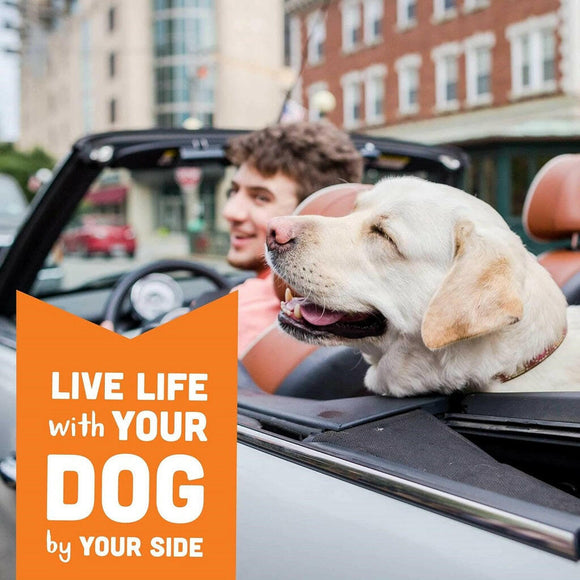 Cloud Star Wag More Bark Less Peanut Butter Crunchy Dog Treats (16 oz)