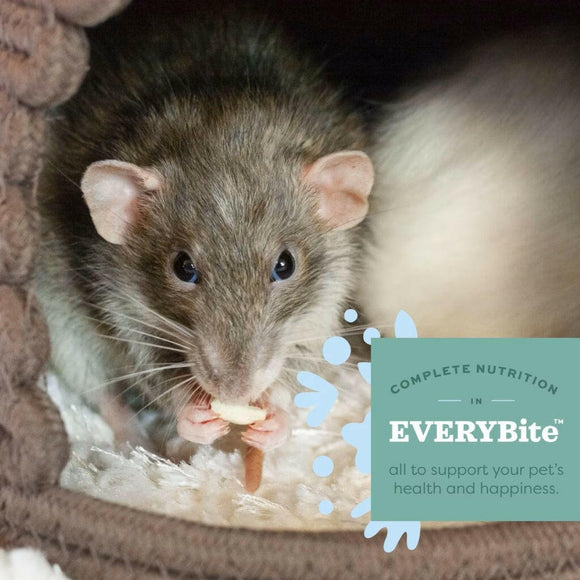 Oxbow Essentials All Natural Adult For Food (20 lb)