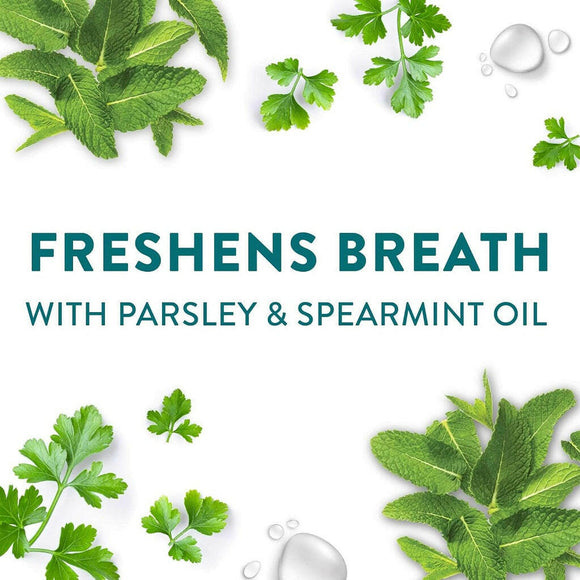 Dogswell Dental Chicken Recipe Jerky Treats For Dogs (12 oz)