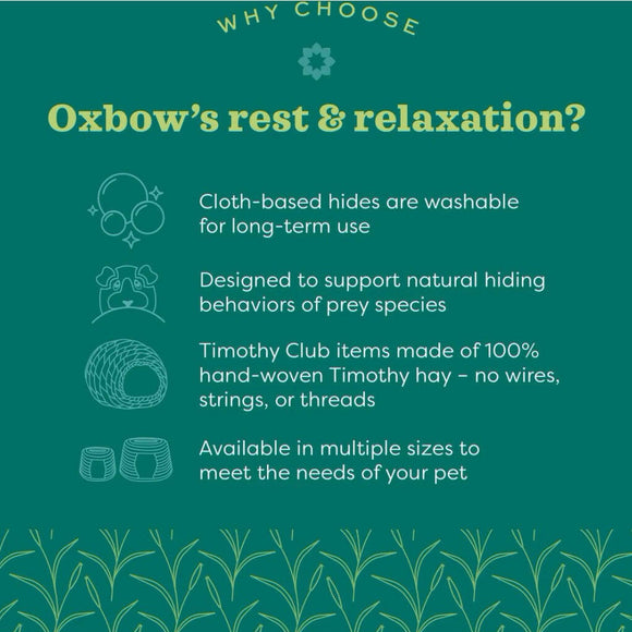 Oxbow Enriched Life Honeycomb Hammock For Small Animal