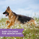 Dogswell Skin & Coat Soft & Chewy Salmon Flavored Treats For Dogs (14 oz)