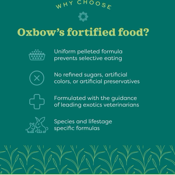 Oxbow Essentials All Natural Adult For Food (20 lb)