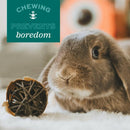 Oxbow Enriched Life Crazy Hay Ball Toy For Small Animal