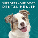 Dogswell Dental Chicken Recipe Jerky Treats For Dogs (12 oz)