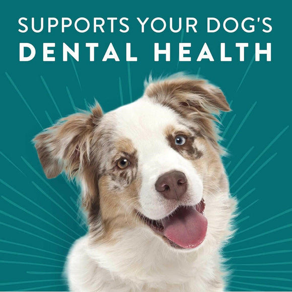 Dogswell Dental Chicken Recipe Jerky Treats For Dogs (12 oz)