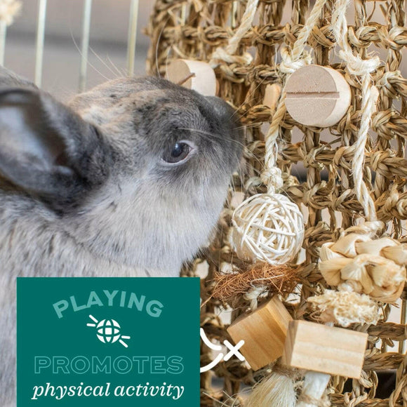 Oxbow Enriched Life Garden Forage Puzzle Toy For Small Animal