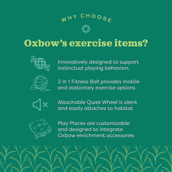 Oxbow Enriched Life 2 in 1 Fitness Ball Toy For Small Animal