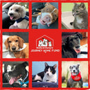 Stella & Chewy's Chewy's Chicken Meal Mixers Freeze-Dried Raw Food Topper For Dogs (3.5 oz)