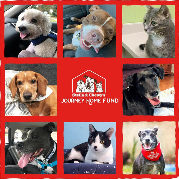 Stella & Chewy's Chewy's Chicken Meal Mixers Freeze-Dried Raw Food Topper For Dogs (3.5 oz)