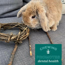 Oxbow Enriched Life Apple Stick Bouquet Toy For Small Animal