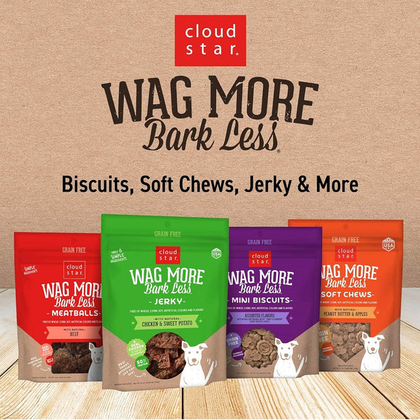 Cloud Star Wag More Bark Less Chicken, Charcoal, Parsley & Mint Dental Biscuits For Dogs(14 oz)