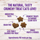 Wellness Kittles Chicken & Cranberries Recipe Crunchy Cat Treats (2 oz)