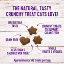 Wellness Kittles Chicken & Cranberries Recipe Crunchy Cat Treats (2 oz)