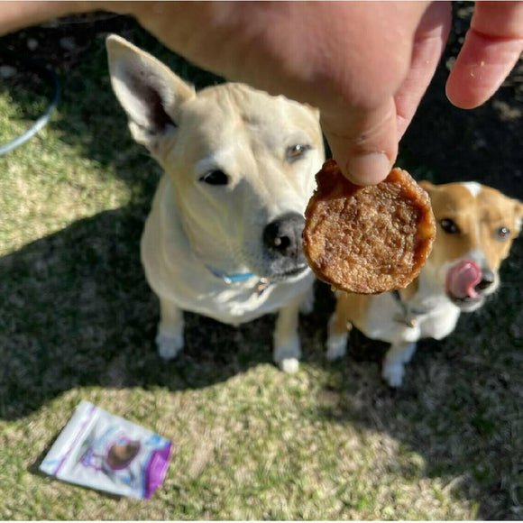 Green Coast Pet Chicken Crisps Dog (4 oz)