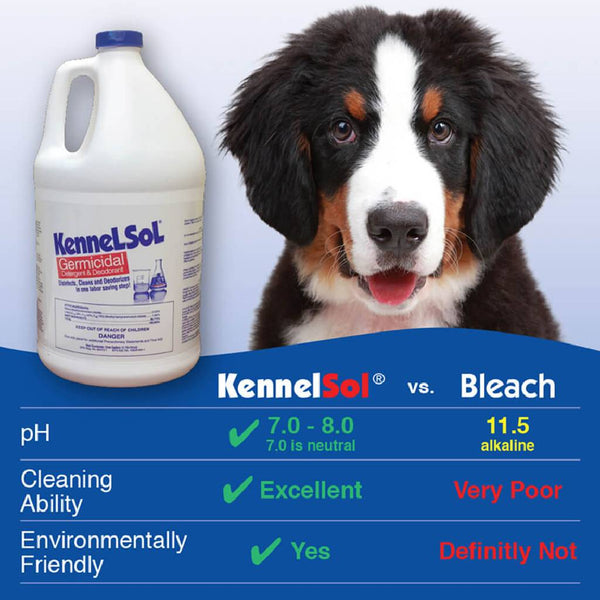 KennelSol Germicidal Detergent & Deodorant Cleaner (1 Gallons)