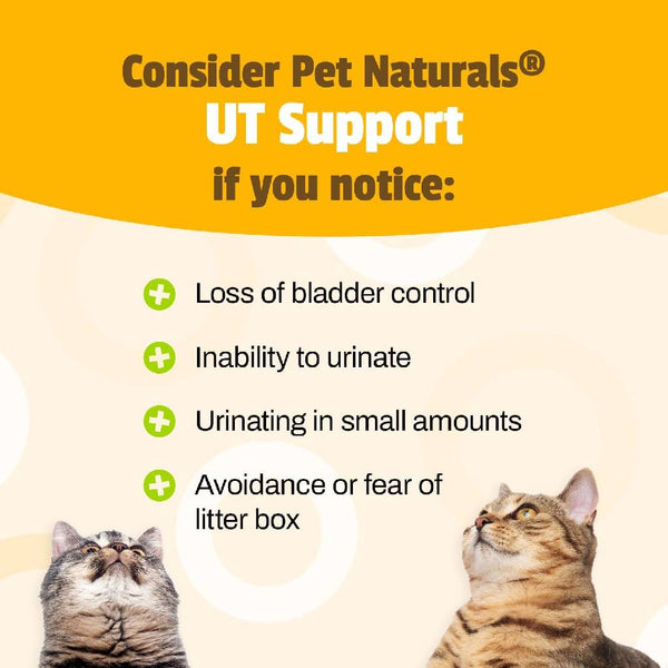 Pet Naturals UT Support Chews for Cats (60 count)